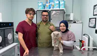 Bursa'da kısırlaştırma operasyonuna giden kedi kliniği birbirine kattı
