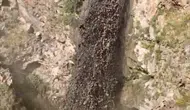 Ağrı Dağı'nda eriyen karlar yamaçlardan çamur akıtıyor