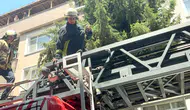 Avcılar’da bir kuşun imdadına itfaiye yetişti