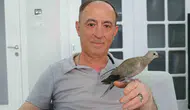 Sivaslı Murat Koldaş kargaların elinden aldığı yavru kumruyu hayata döndürdü