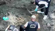 14 yıllık sessizlik bir portakal bahçesinde bozuldu