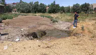 Sivas Zara sokaklarında iki saatlik boğa kovalamacası