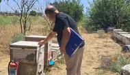 Aydınlı arıcılar için kovan sayımı başladı