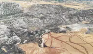 Adıyaman orman yangını felaketinin izlerini siliyor