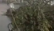 Kars'ta şiddetli fırtına hayatı felç etti
