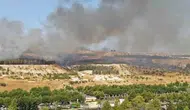 Şanlıurfa Karaköprü’de orman yangını paniği
