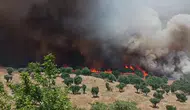 Diyarbakır yangınlarla boğuşuyor iki ayda 100 bin hektar alan yandı