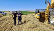 Afyonkarahisar tarlalarında hummalı hasat mesaisi başladı