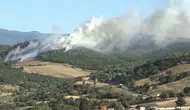 Çanakkale Bayramiç ormanlarında yangın paniği