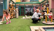 Van kedilerini görmek isteyenler Kedi Villası’na akın ediyor