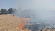 Bandırma’da çıkan anız yangını büyümeden söndürüldü