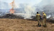Osmaniye'de tarla temizliği yangını ormana sıçradı