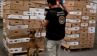 Kapıkule'de dondurulmuş tavuk sevkiyatında yarım ton uyuşturucu yakalandı