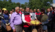 Malatya kayısı bahçelerinde geçen yılın yaraları sarıldı