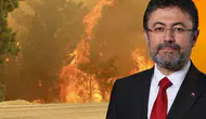 Bakan Yumaklı duyurdu: Üç ildeki orman yangınlarında alevler dizginlendi