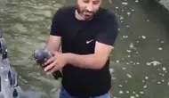 Malatya’da bir vatandaş kanaldan kurtardığı güvercine yuva oldu