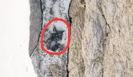 Hakkari’de kaybolan dağcının cansız bedenine ulaşıldı