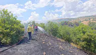 Bingöl ormanlarında çıkan yangına ekipler anında müdahale etti