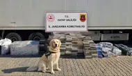 Hatay'da nakliye tırına gizlenmiş 3 bin karton kaçak sigara yakalandı