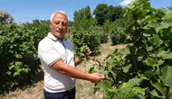 Yozgatın bozkırında Karadeniz rüzgarı esiyor