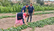 Afyon’da tarlalar mercek altında