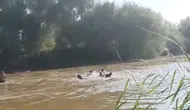 Aydın'da nehirde kaybolan çocukların dehşet anları görüntülendi