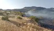 Dicle kırsalında alevler rüzgarla büyüdü