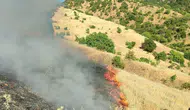 Malatya Doğanyol'da orman yangını paniği