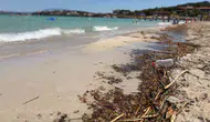 Çeşme Ilıca Plajı çöp ve atıklarla doldu