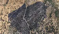 Kulp kırsalında alevler 50 dönümü küle çevirdi