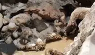 Hakkari yaylasında yaz ortasında kar kabusu yaşandı