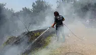 Aydın’da 8 günde 445 yangın paniği