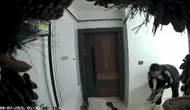Başakşehir’de apartman hırsızı kapı önlerini boşalttı