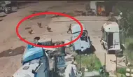 Silopi'de köpek dehşeti Baba ve amca saniyelerle yarıştı
