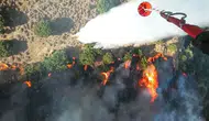 Menemen’de çıkan orman yangını kontrol altına alındı
