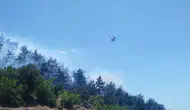 Balıkesir ormanlarında alevler yükseliyor