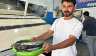 Van Gölü’nde balık sezonu açıldı İnci kefali tezgaha döndü