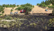 Bir kuş yüzünden Ergani'de yangın çıktı