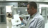 Çekirge sürüsü mü geldi? Uzmanlar istila korkusuna son noktayı koydu?
