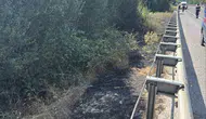 Bilecik'te sorumsuz bir izmarit ormanı yakıyordu