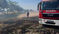 Bandırma kırsalında anız yangını korkuttu