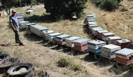 Burdur’da arı kovanları tek tek kayıt altına alınıyor