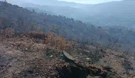 Balıkesir Gömeç ormanlarında alevlerle mücadele üçüncü gününde sürüyor