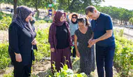İzmir’in mahalle bostanlarında hasat vakti