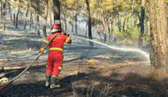Muğla Ortaca'da orman yangını paniği