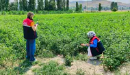 Afyon’da tarım arazilerine kaçak yapı denetimi sıkılaşıyor