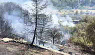 Fethiye'de orman yangını paniği