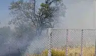Siirt Kurtalan’da bahçe yangını ağaçları küle çevirdi