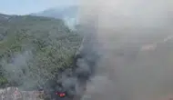 Aydın Kuyucak’ta ormanlık alanda yangın paniği