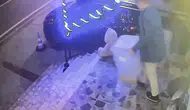 Kocaeli’de sabahın beşinde petshop önündeki mama kutusunu çaldılar